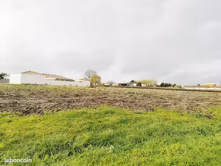 terrain 600 m² cussac fort medoc