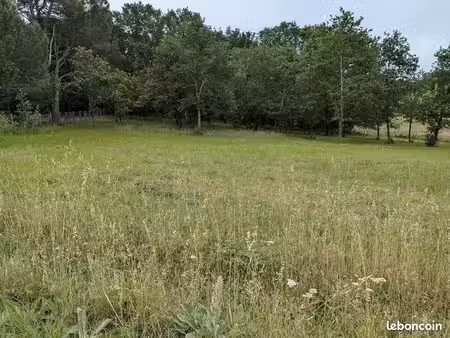 vente d’un terrain constructible de 1525 m² à saint palais (33820) - vente entre particuli