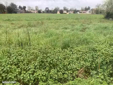 terrain 277 m² libourne