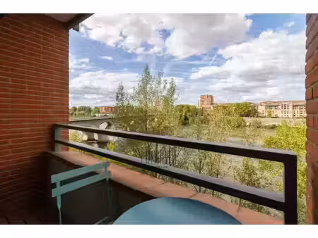 la vue toulousaine