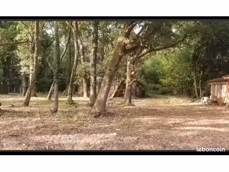 maison individuelle et arborée