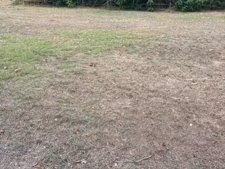 projet de 5 lots diffus sur saumos 33680  terrain à bâtir de 1400 m² proposé en exclusivit