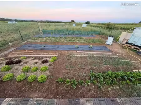 jardin potager