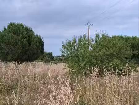 terrain agricole