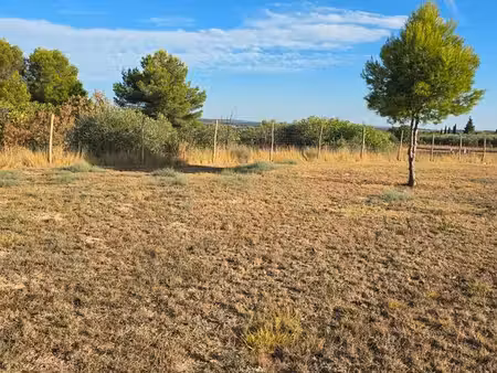 terrain agricole avec eau