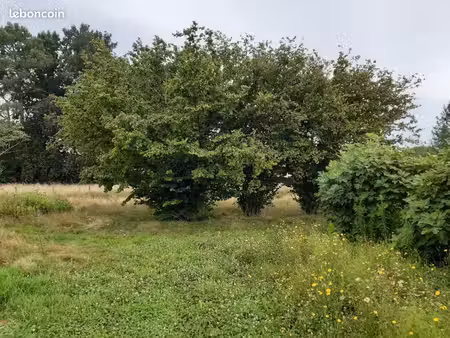 terrain 530 m² le taillan medoc