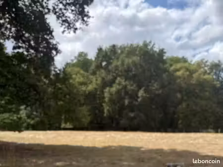 les demeures d'aquitaine proposent ce terrain à bâtir de 1159 m² borné et à viabiliser sur
