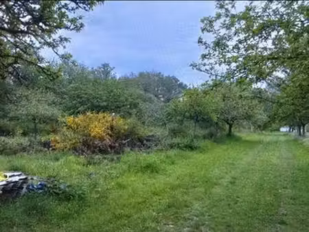 terrain naturel