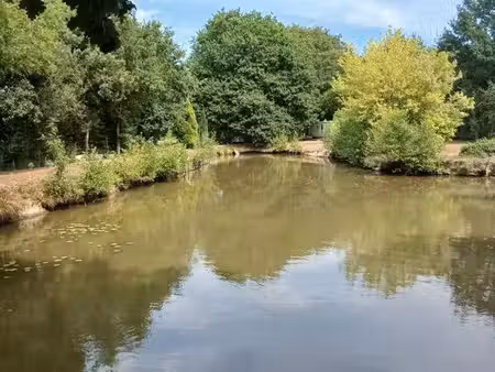 étang