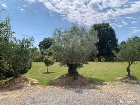 terrain de loisirs plus etang