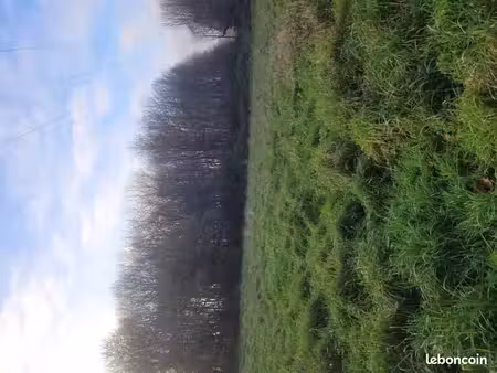 terrain 378 m² chateaugiron