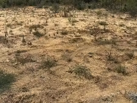 situé à 5 min de l'océan ce terrain viabilisé de 926 m² est proposé sur la commune de vens