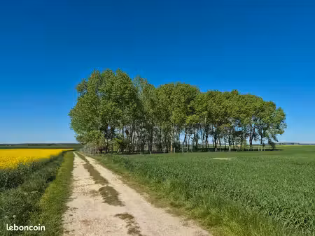 terrain de loisirs