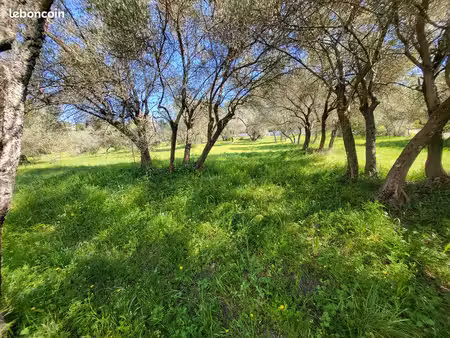 beau terrain de 1100 m2
