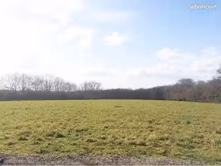 terrain 600 m² nouzilly