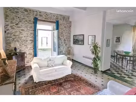 très grande maison de village avec caractère et jardin et terrasses et ascenseur idéal pou