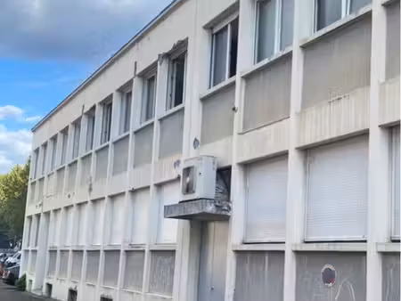 local professionnel 550m2