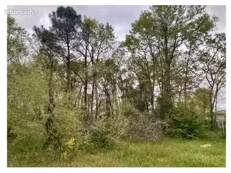terrain 1 115 m² le haillan