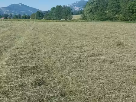 cherche terrain agricole sur saint laurent du pont