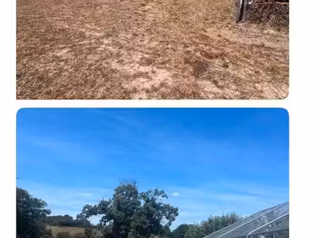 terrain agricole