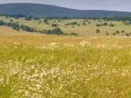 proche mont-de-marsan terrain de 495 m² à saint-avit a coté du golf (40000)