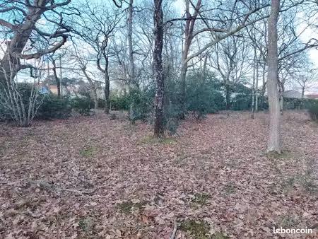 terrain à bâtir de 560 m² à mont-de-marsan (40)