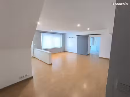 appartement spacieux et lumineux