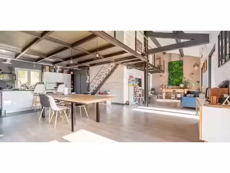 maison avec piscine et jardin rivolet (69)