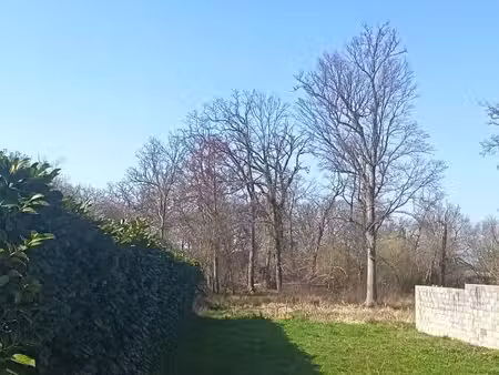 terrain 2 186 m² lanton