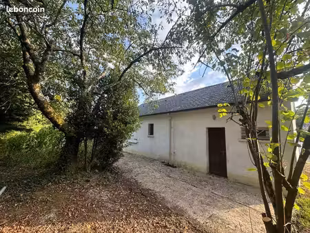 maison saint cyr sur loire