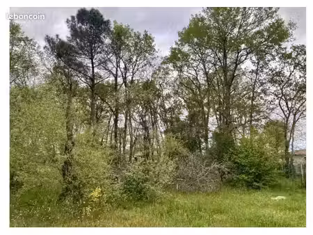 terrain 1 340 m² le haillan