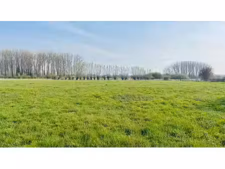 unieke combinatie van bouwgrond en landbouwgrond