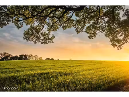 recherche terrain agricole