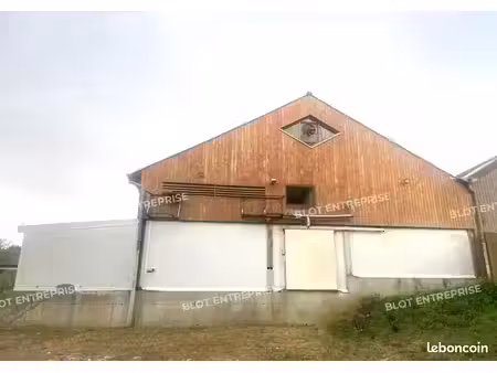 local d'activité 300 m²