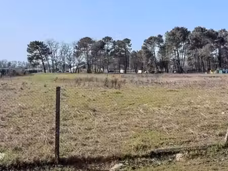 terrain constructible