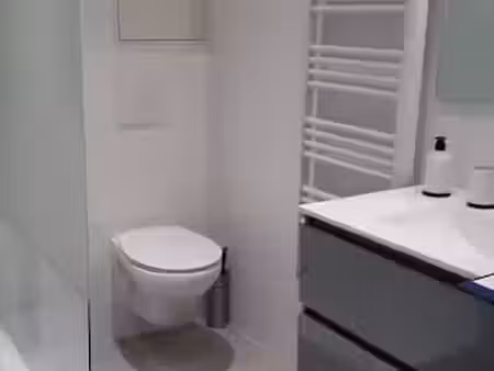 location appartement 3 pièces à coutras (33230)  550 €