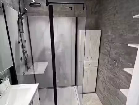 location meublée appartement 5 pièces 110 m² à villeurbanne (69100)  520 €