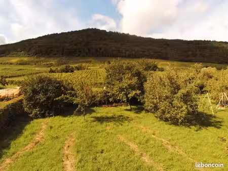 terrain 521 m² chatenois