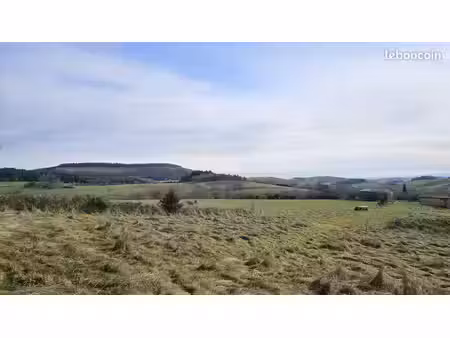 terrain 7000 m² cherier