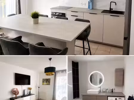 appartement  3 pièces   67 m2