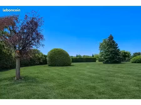 magnifique terrain arboré et au calme