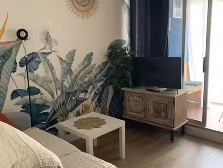 appartement lumineux cap d'agde