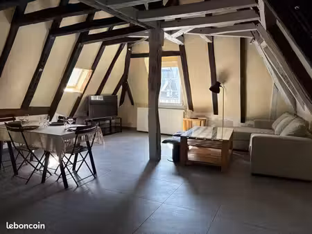 grand appartement centre saumur