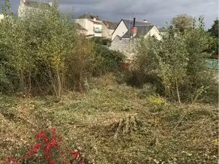 terrain constructible  saumur