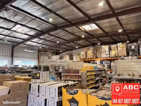 local commercial 400 m² colombiers