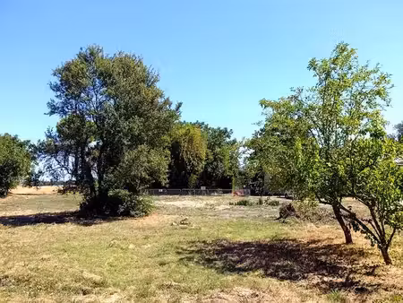 ? terrain constructible 1 538 m² - 36 euros / m² - 10 min de saumur