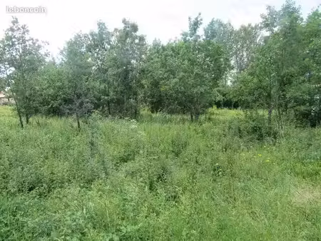 terrain 1 046 m² montdoumerc