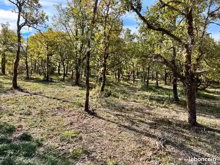 terrain 1 424 m² lalbenque