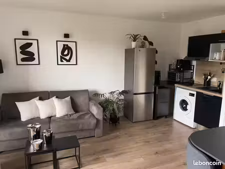 appartement 2 pièces 44 m2 + parking ext. - les ponts-de-cé