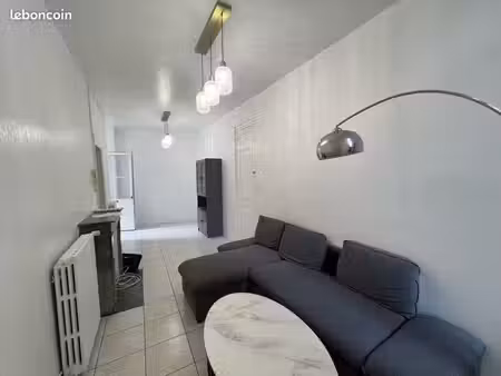 appartement meublé 55 m2 vue sur rivière et parc centre-ville laval